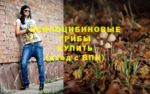герыч Алексин
