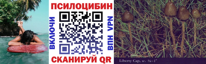 Купить где  Вытегра  Галлюциногенные грибы Magic Shrooms 